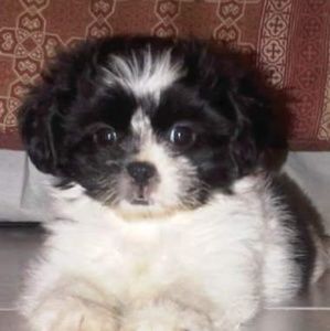 Meet your Posher, Titiana